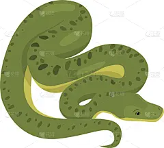 蛇,白色,分离着色,巨大的,绿色,长的,可爱的,野生动物,小的,动物