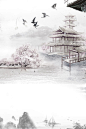 淡雅