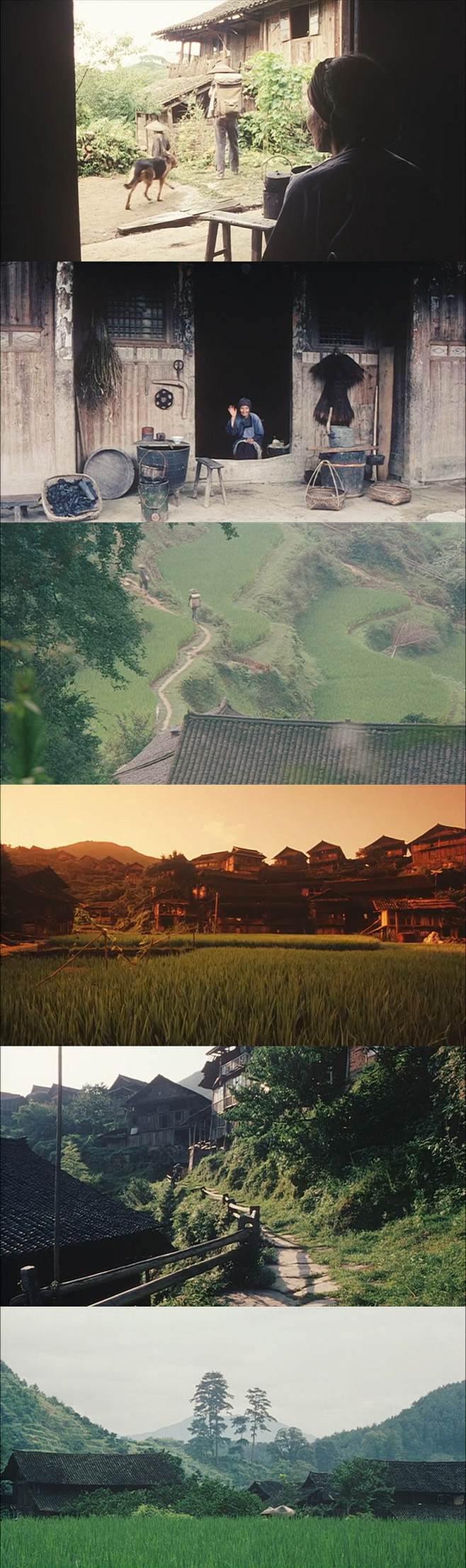 那山那人那狗1999