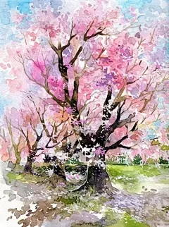 鹿菏的精美插画作品分享