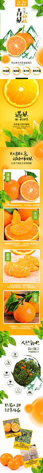 青见