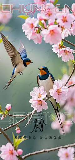 春分海报 春分节气 春分单图 樱花节活动 赏樱花 赏樱季 桃花节活动 赏桃花-星图网