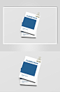 经典蓝白文件VI样机效果图