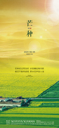 是荔枝呀！采集到节气