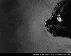 小猫钓鱼的插画画廊展厅