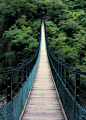 森林公園裡的吊橋