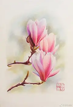 水彩--玉兰花 - 高清图片，堆糖，美图壁纸兴趣社区