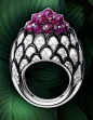 Cartier Ring, platinum, rubies, onyx, brilliant-cut diamonds.
