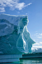 'A face in the ice' (by Lori Kisla). Penola Strait, near Petermann Island, Antarctica