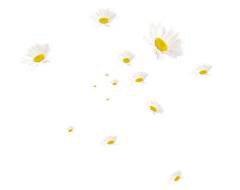 ゞ吳、尐姊采集到banner