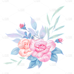 平面设计美工——钱燚燚采集到花