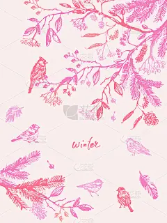 手绘水墨冬季自然插画与鸟类和树枝