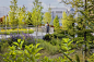 项目信息
项目名称：东北大学跨学科科学与工程综合体
竣工年份：2019
面积：125000 平方英尺
项目地点：马萨诸塞州波士顿
景观/建筑公司：Stephen Stimson Associates Landscape Architects, Inc.
网站：https://www.stimsonstudio.com
联系邮箱：info@stimsonstudio.com
主创：Payette
设计团队：Payette、Arup、LeMessurier、VHB、Nitsch Engineering
客户：