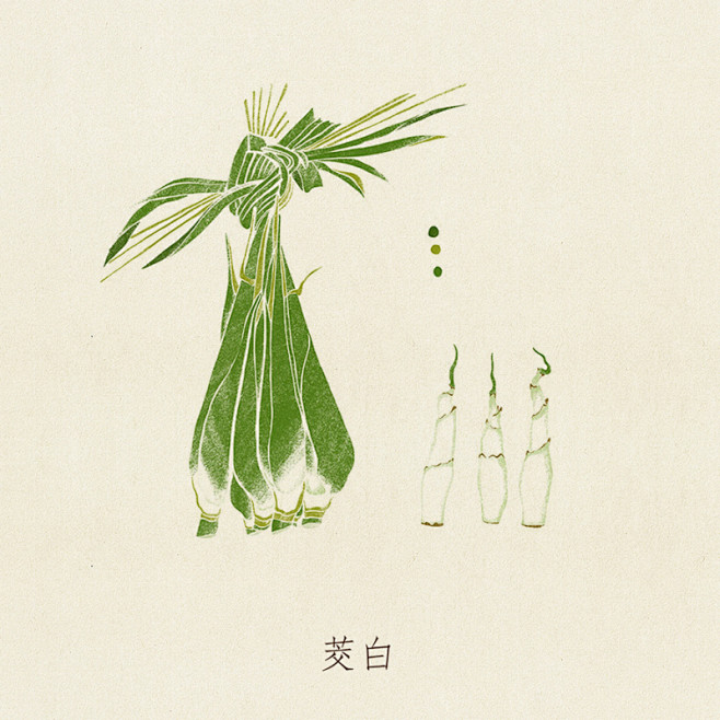 蔬食记-平常的蔬果 - 视觉中国设计师社...