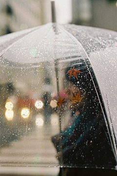 旅游摄影精品美图采集到飘雨有情