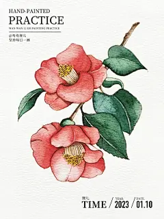 茶叶插画设计。茉莉花，山茶花，奶茶店