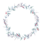 FLORISTIC_JULIA_DREAMS