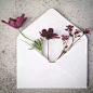你有一封来自春天的信。