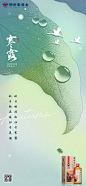 寒露海报