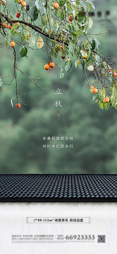 轻心＆倾心采集到APP端排版