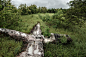 When a Plane Crash Has a 'Happy Ending' : Photographer Dietmar Eckell has traveled across four continents to photograph mangled aircraft that share a miraculous history.