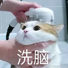 应姐妹们要求 开个表情包分享贴 来吧 展示 ... 来自马可阿菠萝赛东 - 微博