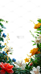春天春日春季3D立体C4D实景花卉植物边框元素素材