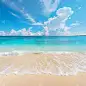 insMind Summer Background Tropical Sand Beach