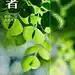 企业小暑节气祝福实景创意合成全屏竖版海报
