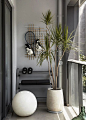 (85) Pinterest