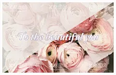 玫瑰花卉节日卡片  - 源文件下载【酷图网】节日卡片,鲜花,名片,节日,请柬,贺卡,ppt,海报,