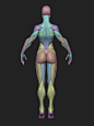 Stylized Female Blockout v1