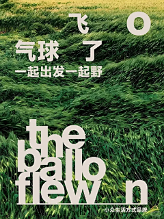 AXIN101采集到版式鉴赏