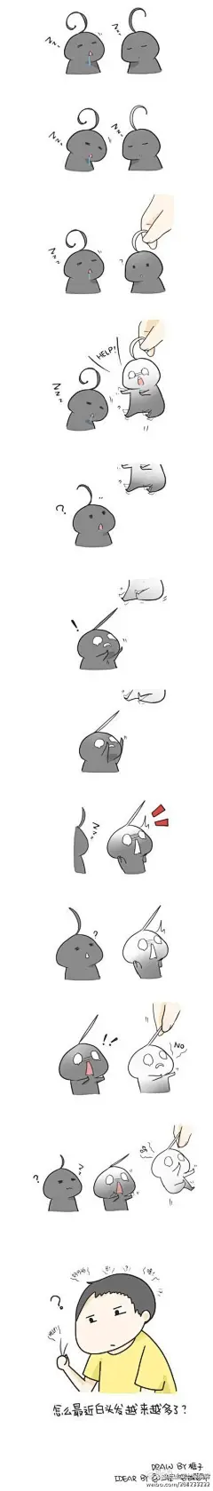 宅腐集中营
为什么白头发永远拔不完？萌一脸血嗷嗷！！！（by:框子）
