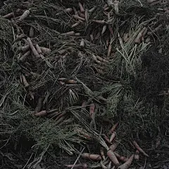 p2253452683