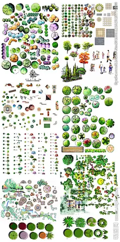 手绘园林植物素材