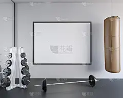 模拟场景，3d插图，运动，健身房，健身运动，股票，模板，瓷砖，教练，上，视图，墙，白色