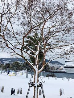 ╰☆随风飘舞彡采集到冰天雪地