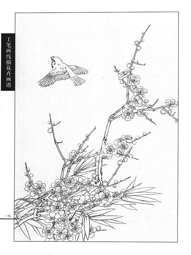 工笔画线描花卉画谱梅花篇