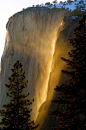 HORSETAIL FALLS YOSEMITE, California | A beautiful spectacle #摄影师# #美景#