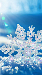 Snowflake In Sunlight: 