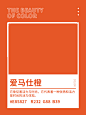 用心感受色彩美好-感受色彩带来的视觉享受