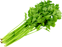 lailail采集到食物png