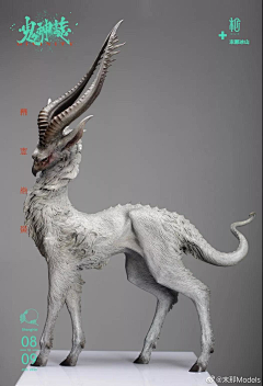 暴躁味的果冻采集到猪猪怪