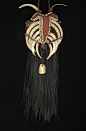A dramatic boar’s tusk pectoral from the Boiken culture of Papua New Guinea. Cassowary feathers anchor this fiber and nassa shell pectoral with five slivers of boar’s tusk lashed together, and two more tusks attached to the braided neck cord.: 