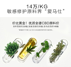 独爱鸡翅的小仙女采集到表现手法