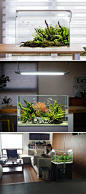 Flat One - The World's Smartest Aquarium Lighting : Revolutionary intelligent energy-saving LED aquarium light.