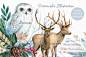 冬季圣诞节麋鹿猫头鹰松树花环贺卡装饰边框PNG设计素材png369-淘宝网