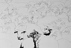 谭伯虎钢笔画作品《数羊》