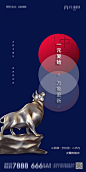 元旦